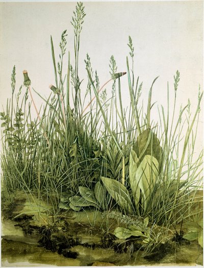 The Dirt with Wild Herbs by Albrecht Dürer