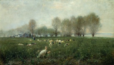 Turkeys in countryside at sunset by Alceste Campriani