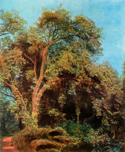 Tree in the Park by Aleksandr Ivanov