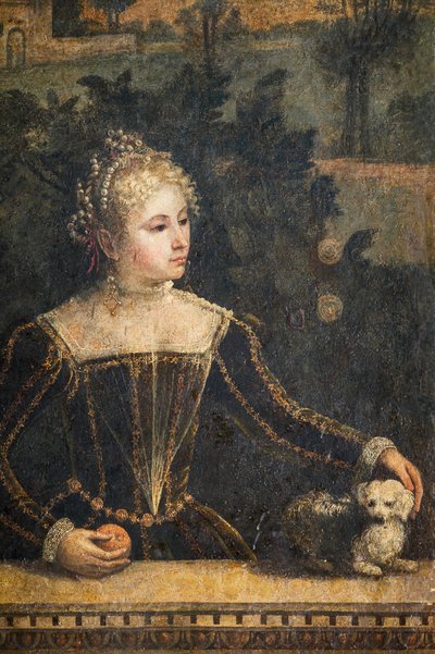 Portrait of a Noblewoman (detail) by Alessandro Bonvicino Moretto