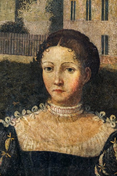 Portrait of a noblewoman (detail) by Alessandro Bonvicino Moretto