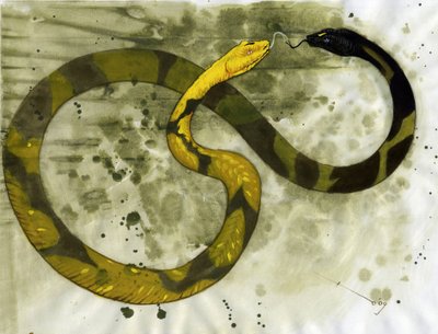 Fabulous creature: representation of an Amphisbene, snake with two heads by Alessandro Lonati