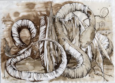 Illustration of a fantastic and legendary animal: dragon with a snake-long body by Alessandro Lonati