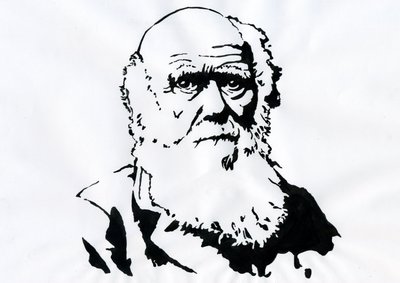 Portrait of Charles Darwin by Alessandro Lonati