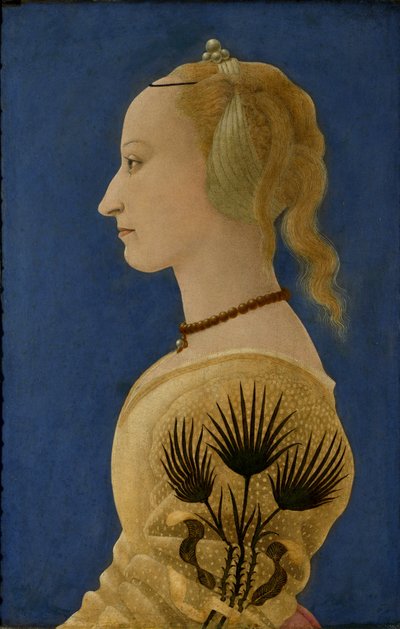 Portrait of a Lady in Yellow, c.1465 by Alessio Baldovinetti