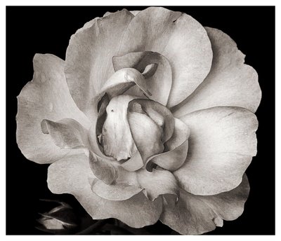 Untitled by Alex Caminker