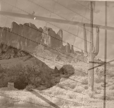 Desert, 2019 by Alex Caminker
