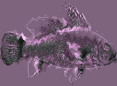 Fish III by Alex Caminker