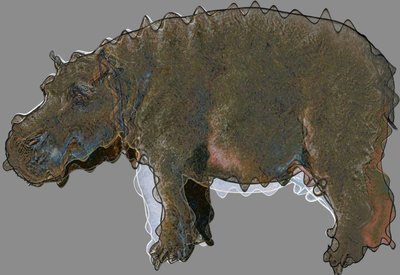 Hippo by Alex Caminker