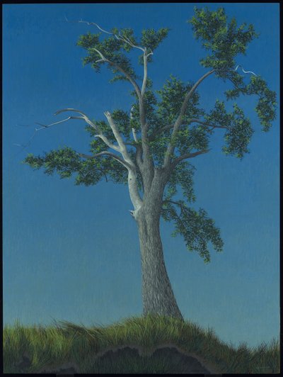 Elm Tree at Horton Landing by Alex Colville