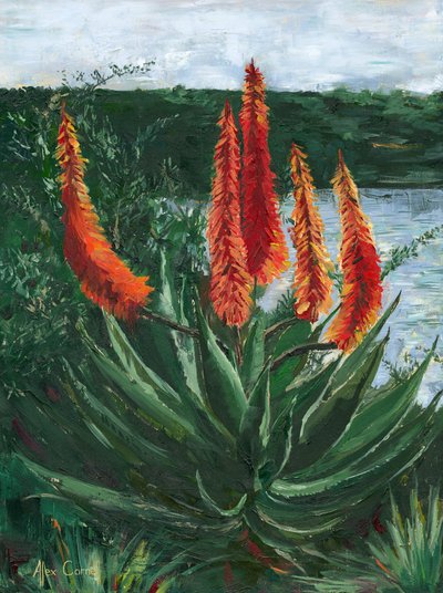 Vibrant Aloe Lake by Alex Cornell