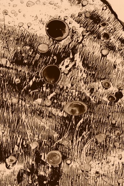 Oxygen by Alexander Adiels