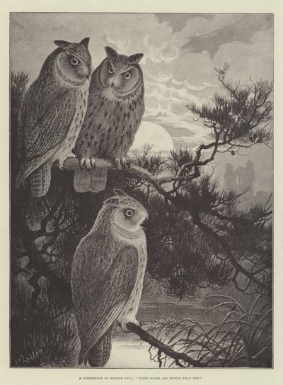 A Conference of Horned Owls, Three Heads are Better than One by Alexander Francis Lydon