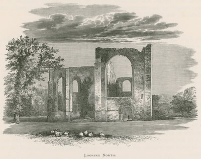 Furness Abbey, Looking North by Alexander Francis Lydon