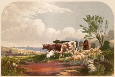Illustration for Goldsmith