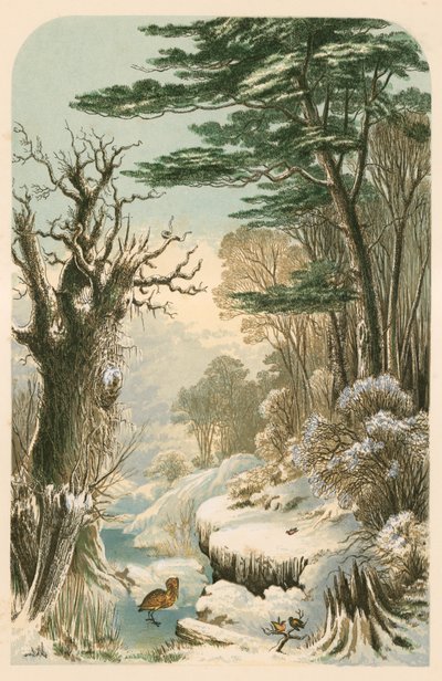 Illustration for Longfellow