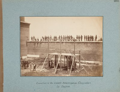 Execution of the Lincoln Assassination Conspirators. The Scaffold by Alexander Gardner