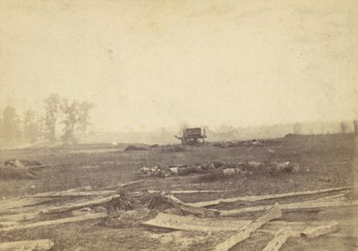 View on the Battlefield of Antietam, September 1862 by Alexander Gardner