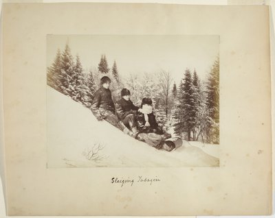 Tobogganing, c.1873 by Alexander Henderson