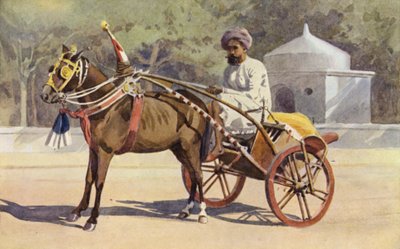 A Benares Ekka by Alexander Henry Hallam Murray
