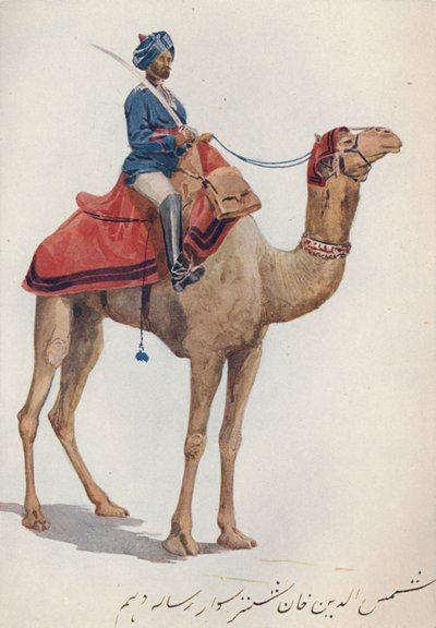 A Camel-Sowar of the 10th Bengal Lancers, c1880 1905 by Alexander Henry Hallam Murray