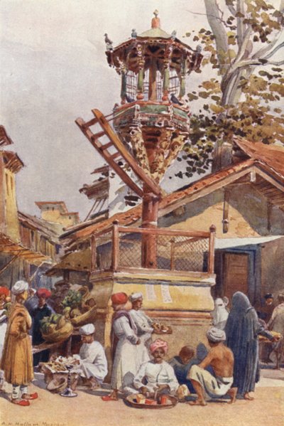 A Feeding-Place for Birds, Ahmedabad by Alexander Henry Hallam Murray