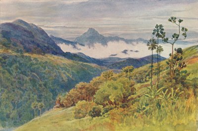 Morning Mists in the Valley of the Mahawelli Gangha by Alexander Henry Hallam Murray