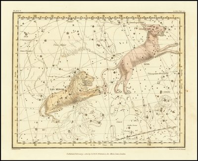 1822 - Lynx & Leo Minor by Alexander Jamieson