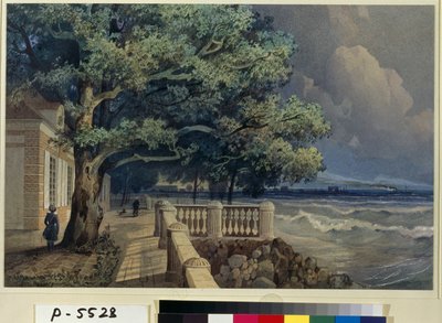 Terrace in the Monplaisir Palace, Peterhof by Alexander Matveyevich Dorogov
