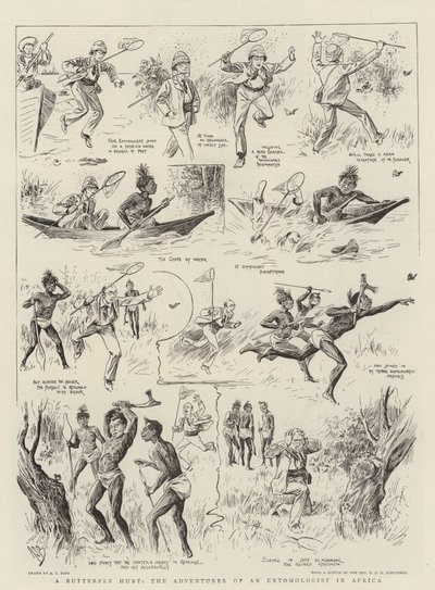 A Butterfly Hunt, the Adventures of an Entomologist in Africa by Alexander Stuart Boyd