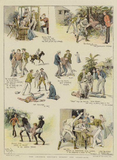 The Amateur Doctor