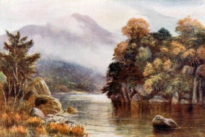 Muckross Lake, Killarney by Alexander Williams