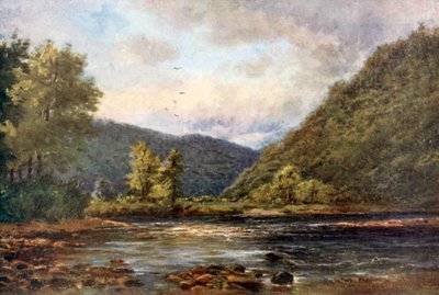 The Meeting of the Waters, Woodenbridge by Alexander Williams