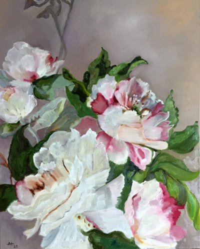 Pink And White Peonies by Alexandra Higgins