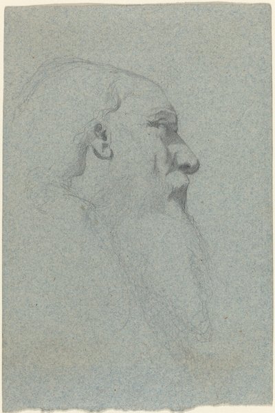 Head of a Bearded Man, Looking Right by Alexandre Bida