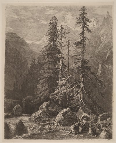 Etching Trials by Alexandre Calame, I, pl. 21 by Alexandre Calame