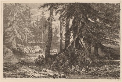 Essays on Etching by Alexandre Calame, III, pl. 16 by Alexandre Calame