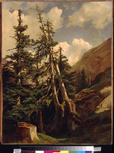 Firs in the Mountains by Alexandre Calame
