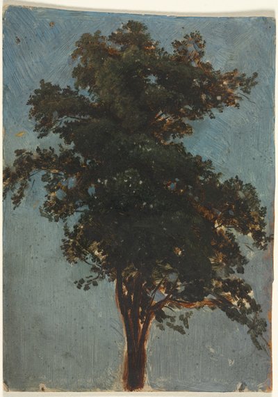 Tree Study by Alexandre Calame
