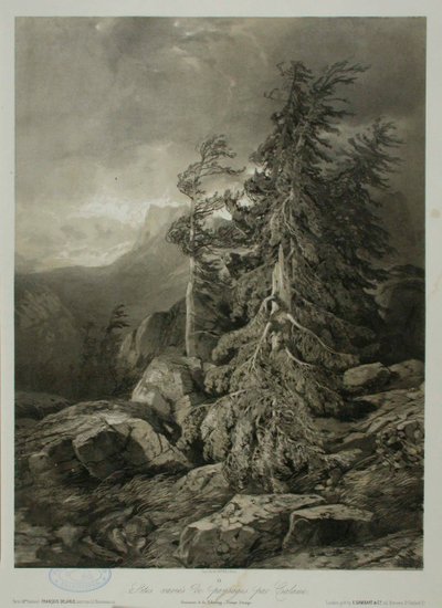 Untitled by Alexandre Calame