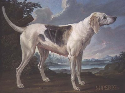 Portrait of a Hound 