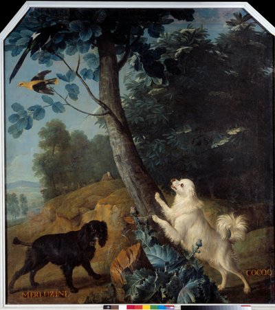 Merluzine and Cocoq, the Dogs of Louis XIV (1638-1715). Painting by Francois Desportes (1661-1743) by Alexandre Francois Desportes
