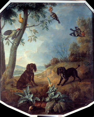 Nutmeg and Hermine, the Dogs of Louis XIV (1638-1715). Painting by Francois Desportes (1661-1743) by Alexandre Francois Desportes