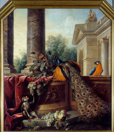 Still Life with Peacock, a Parrot, a Monkey and Bunches of Grapes by Alexandre Francois Desportes