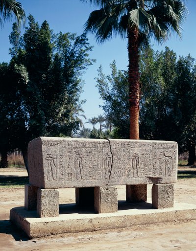 Egypt, Cairo, Ancient Memphis, Engraved sarcophagus by Nicolas Toussaint Charlet