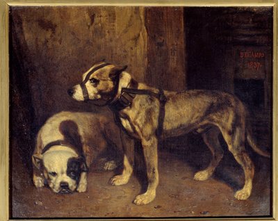Scottish Bulldog and Terrier by Alexandre Gabriel Decamps