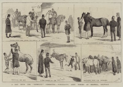 A Day with the Remount Committee, purchasing Army Horses at Redhill, Edgware by Alfred Chantrey Corbould