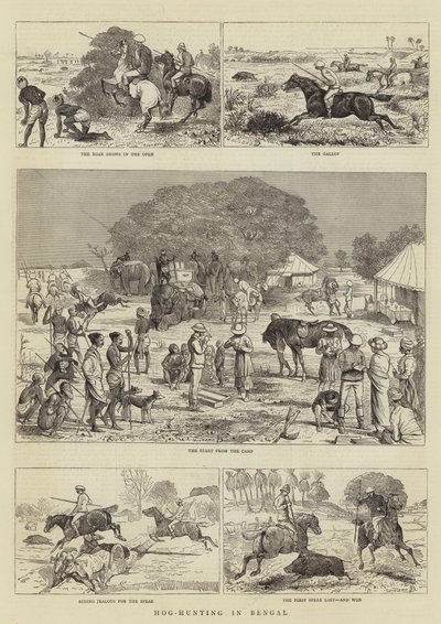 Hog-Hunting in Bengal by Alfred Chantrey Corbould