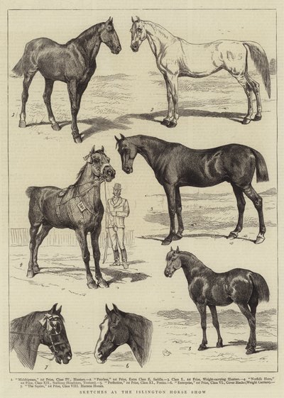 Sketches at the Islington Horse Show by Alfred Chantrey Corbould