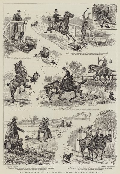 The Adventures of Two Runaway Horses, and what came of it by Alfred Chantrey Corbould